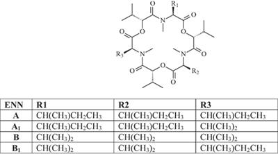 Frontiers | A Review Of The Mycotoxin Enniatin B